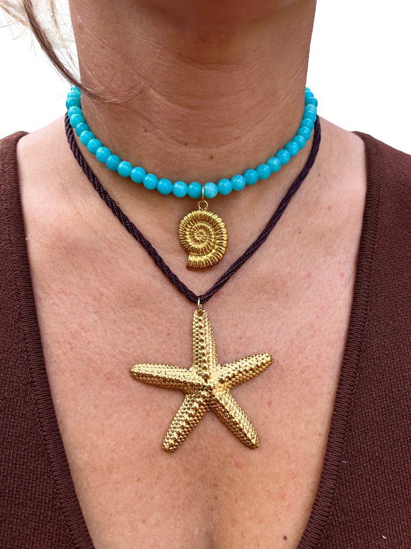 Turquesa Concha de Mar - Imagen 2