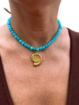 Turquesa Concha de Mar